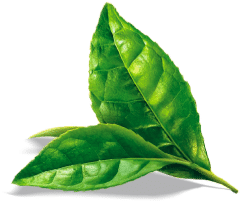 shpare_30c040d